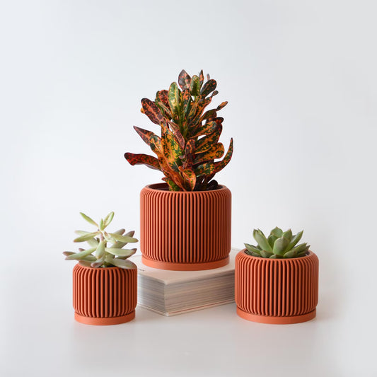 Indoor Planter Pot, Minimalistic Planter with Drip Saucer Tray, Pot with Drainage, Succulents pot, Succulent Planter with drainage and tray